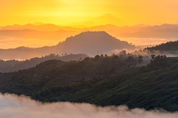 Layers of foggy rainforest hills and terraced cultivated hill during sunrise with layers of beautiful morning light colors