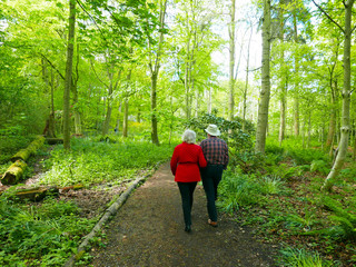 Couple strolling in woods