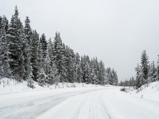 The road 93 Icefield Parkway in Winter at Jasper National park,Canada