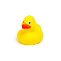Yellow rubber duck on white