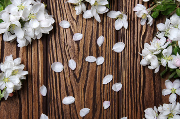 Fototapeta na wymiar Spring flowers on wood
