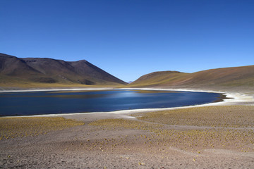 Lagunas Altiplanicas, Atacama, Chile.