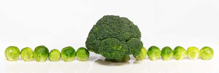 Panorama mit Rosenkohl und Brokkoli vor weiß, grünes Gemüse
