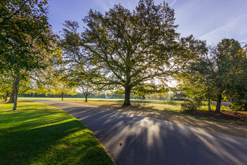  Dulwich park captured during sunrise with the sun streaking through the trees and blue sky, on a...