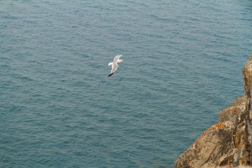 Fototapeta premium Lake Baykal