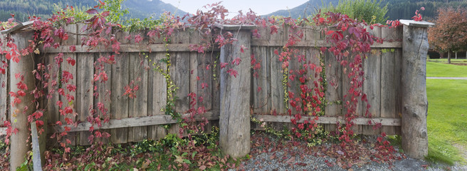 Schöner rustikaler Holzzaun