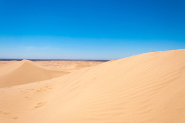 Ocotillo Wells