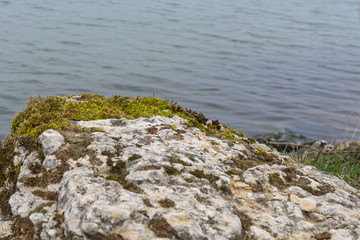 Fels mit Wasser im Hintergrund