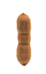 tamarind isolated