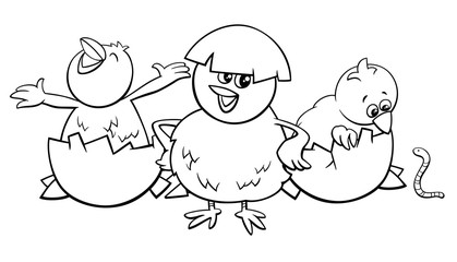 little chicks hatching from eggs color book