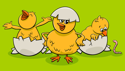 cartoon little chicks hatching from eggs