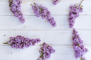 Beautiful purple lilac flowers on white wooden background . Top view