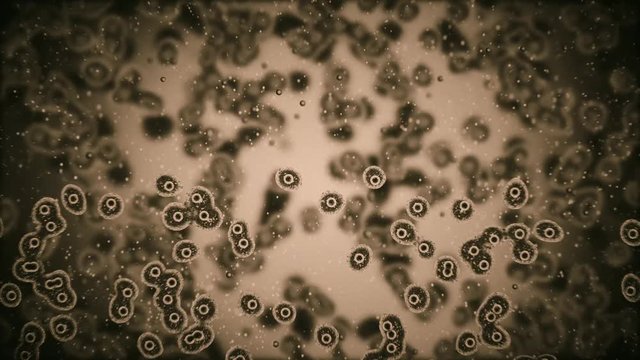 viruses attacking cells or bacterias under microscope 4K