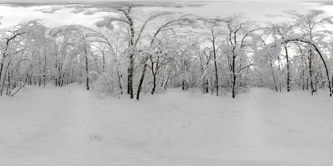 360 VR panorama of forest in the snow in winter after snowfall