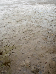 Wide angle aerial view of the thick silt, wet, and hole studded beach of the bay and sea near a mangrove forest. Chanthaburi, Thailand.