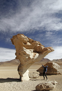 Stone Tree in Salar de Uyuni, Bolivia