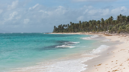 Guadeloupe, beautiful beach in Marie-Galante island, panorama
