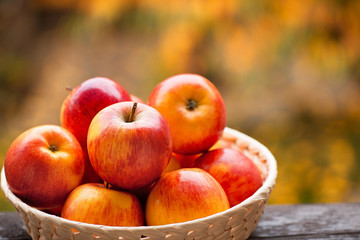 Red Apples in the Bowl in the Garden.