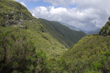Fototapeta na wymiar Rabacal valley, Madeira island, Portugal