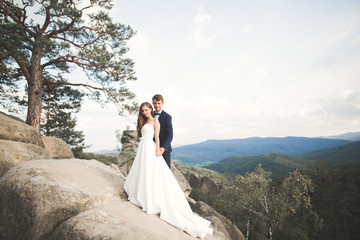 Wedding couple in love kissing and hugging near rocks on beautiful landscape