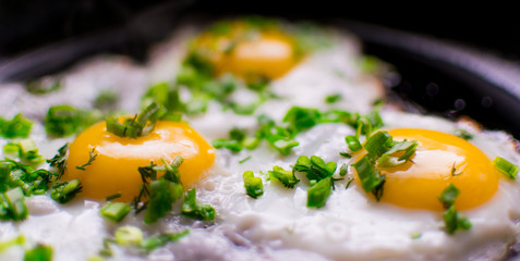 Fried chicken eggs with greens and green onions.