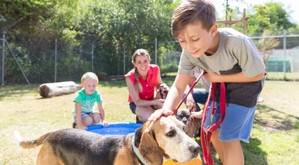 Young boy petting dog in animal shelter spending time with the pet