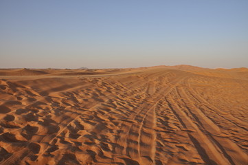 Fototapeta na wymiar Dubai desert safari