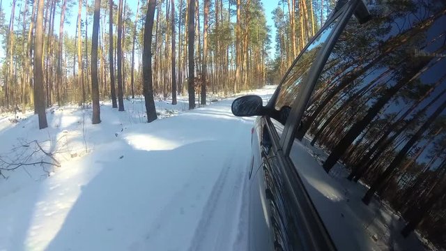 4K.Car goes on winter forest or  park, Reflection of trees in  window. POV clip