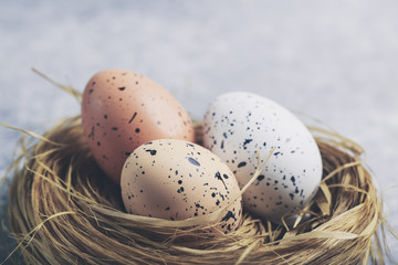 Naklejka na ściany i meble Cute creative with easter eggs in the nest