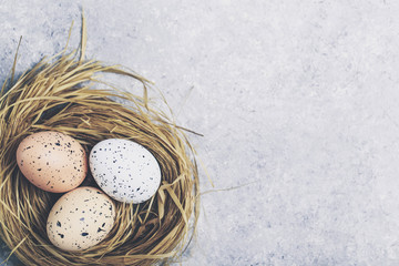Cute creative with easter eggs in the nest
