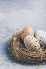 Naklejka na ściany i meble Cute creative with easter eggs in the nest