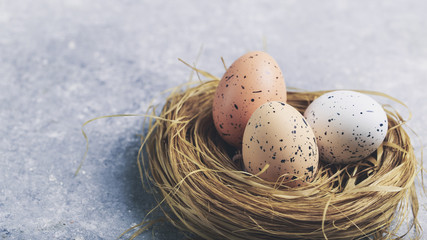 Cute creative with easter eggs in the nest