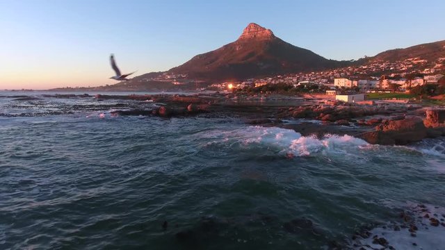 Aerial over Camps Bay in Cape Town, South Africa with a seagull chasing the drone