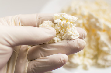 Checking the cottage cheese. A hand in a rubber glove holds cottage cheese. Study of the content of...