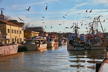 Cesenatico, Emilia Romagna, Italy: fishing boats with seagulls flying around