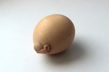 hen egg with a defect built-up on the shell.The reasons are metabolic disorders of polyethological nature, lack of water, a violation of the ratio of minerals, early oviposition in chickens.