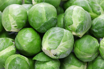 fresh brussels sprouts