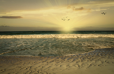 South Florida Beach