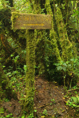 Bosque nuboso, Costa rica