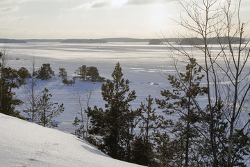 winter landscape