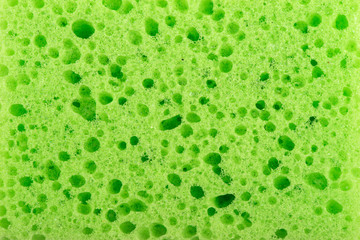 The texture of the sponge