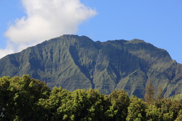 grüne Klippen auf Kauai Hawaii USA