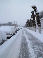 snow-covered avenue in the city