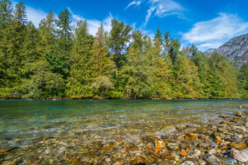 Transparent river in the mountain forest. Skagit river loop trail, North Cascades