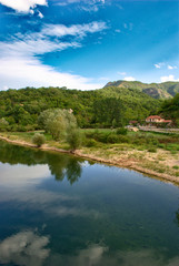 Fototapeta na wymiar National Park - Lake Skadar, Montenegro 