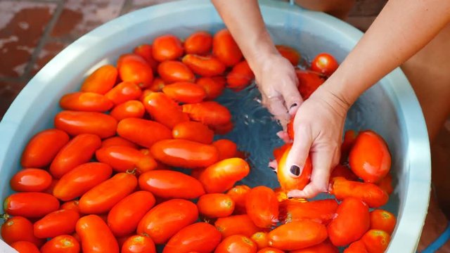 woman's hands washing tomatoes-homemade tomato sauce - italian traditions