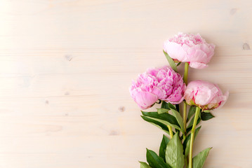 pink peony flowers on white wood background with copy space