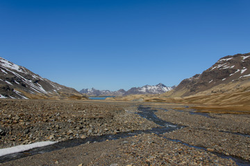 South Georgia landscape