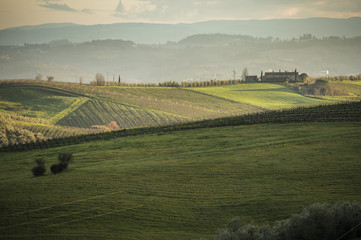 Fototapeta na wymiar Tuscany's wineyards and country in winter, at sunset