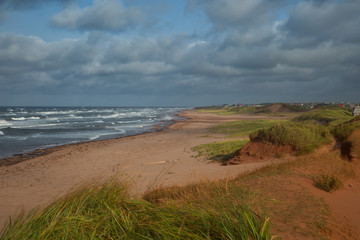 Thunder cove beach and sand dunes